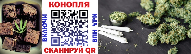 Купить Боготол Cannafood конопля