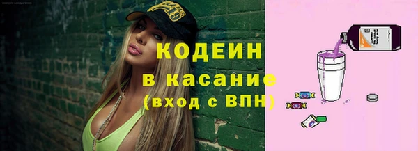 шишки Горнозаводск
