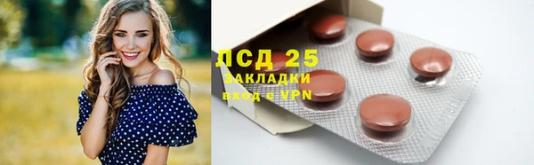 шишки Горнозаводск