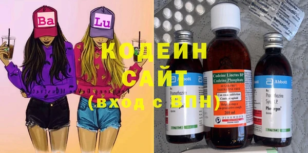 шишки Горнозаводск