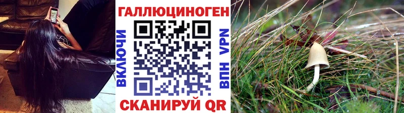 Псилоцибиновые грибы прущие грибы  Купить где  Боготол 